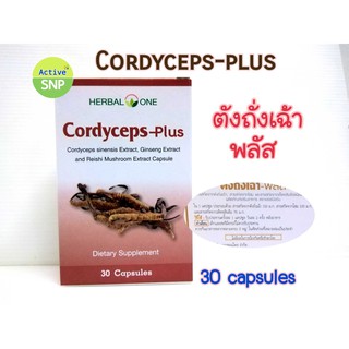 Cordyceps - plus 30 เม็ด ตังถั่งเฉ้า herbal one อ้วยอัน ตังถั่งเช่า ถังเช่า