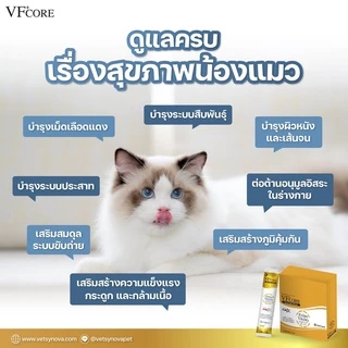 (1ซอง) VFcore ครบทุกสูตร ในรูปแบบขนมแมวเลียรสอร่อย เนื้อทูน่าและแซลม่อนแท้ๆ ทานง่าย น้องๆชอบ