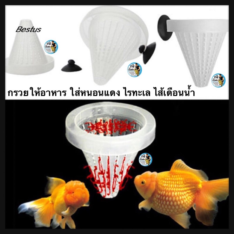 กรวยให้อาหาร คละสีใส่หนอนแดง ถ้วยหนอนแดง ไรทะเล ไส้เดือนน้ำ