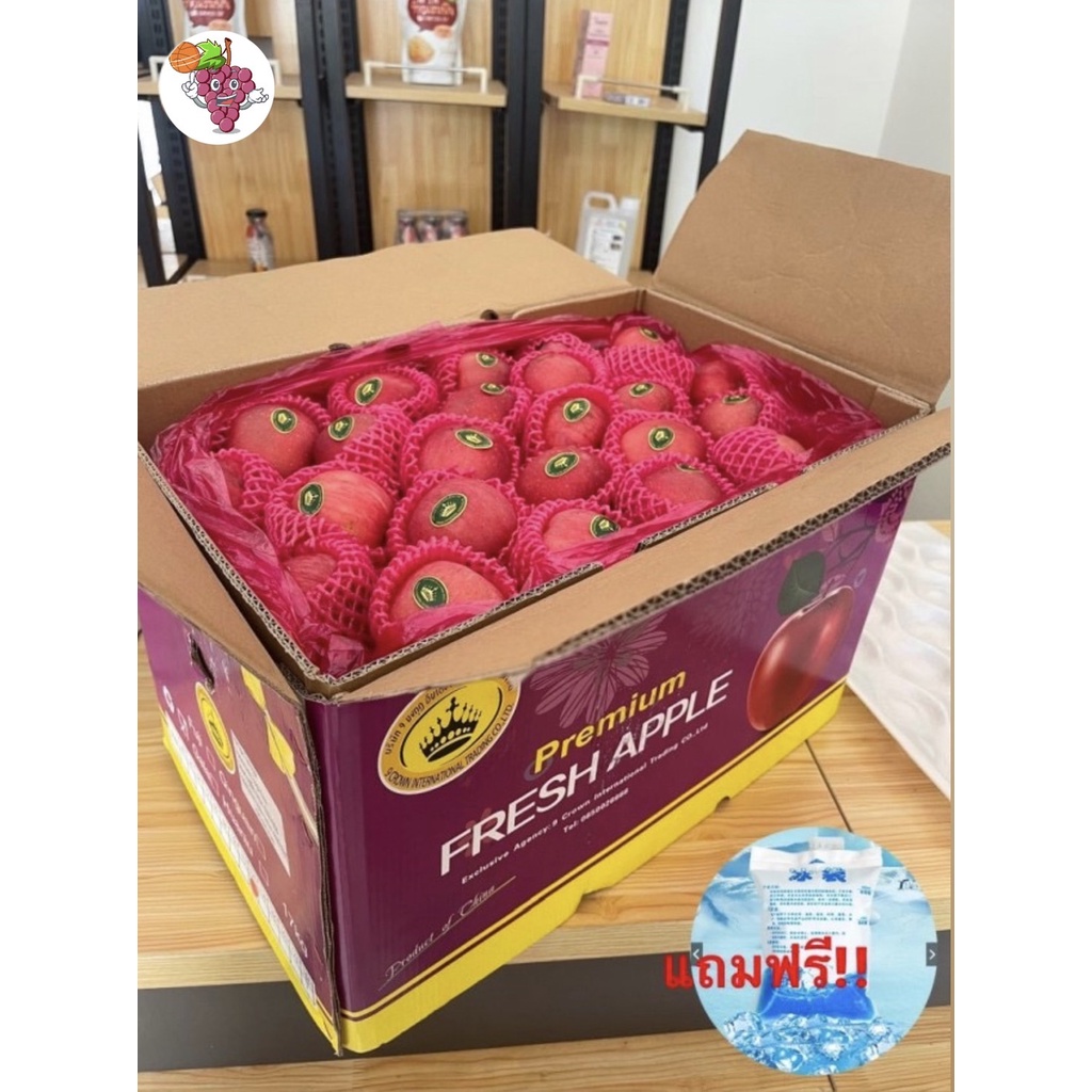 แอปเปิ้ลฟูจิ (ยกลัง) APPLE FUJI (CHN) ลดพิเศษ ผลไม้สด แอปเปิ้ลสด ผลไม้ต่างประเทศ ผลไม้พรีเมี่ยม ขายส