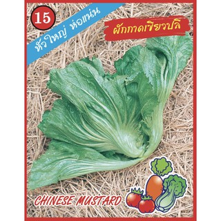 AAA 🇹🇭  ผักซอง A015# ผักกาดเขียวปลี  เขียวปลี  เมล็ดพันธุ์ เมล็ดพันธุ์ผัก เมล็ดพันธุ์ ผักสวนครัว ตราAAA สามเอ