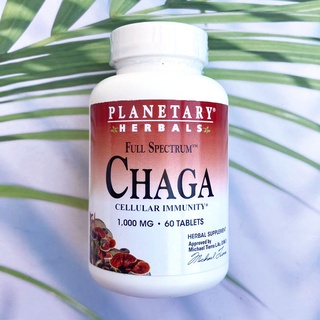 เห็ดหิ้งไซบีเรีย ชาก้า Full Spectrum Chaga 1000 mg 60 Tablets (Planetary Herbals®) เพิ่มภูมิคุ้มกัน ต้านอนุมูลอิสระ