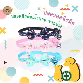 ปลอกคอนิรภัย ปลอกคอแฟชั่น ปลอกคอโบว์ 🎀 ปลอกคอแมว ปลอกคอสัตว์เลี้ยง ปลอกคอ