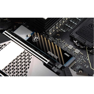 MSI SPATIUM M390 NVMe M.2 250GB