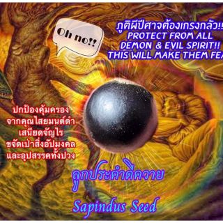 ลูกประคำดีควาย, วัตถุมงคล พระอาจารย์โอ พุทโธรักษา,  
ลูกประคำดีควาย มีคุณวิเศษทาง ป้องกันภูติผีปีศาจคุณไสย