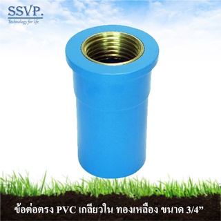 ต่อตรง PVC เกลียวในทองเหลือง รหัส 54602 ขนาด 3/4" (แพ็ค 1 ตัว)