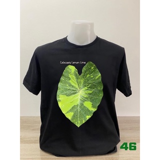 เสื้อยืดคอตตอนลายบอนสีแบบที่46