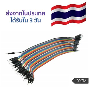 สายจั้มเปอร์ ยาว 20cm (Male to Male) 40pcs