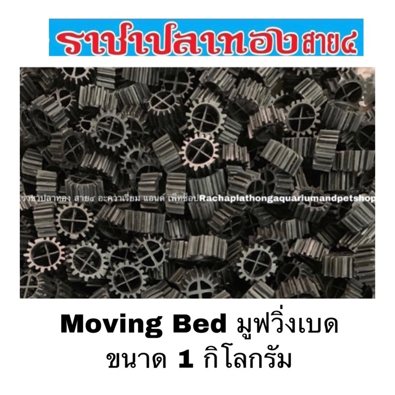 Moving Bed มูฟวิ่งเบด ขนาด 1 กิโลกรัม