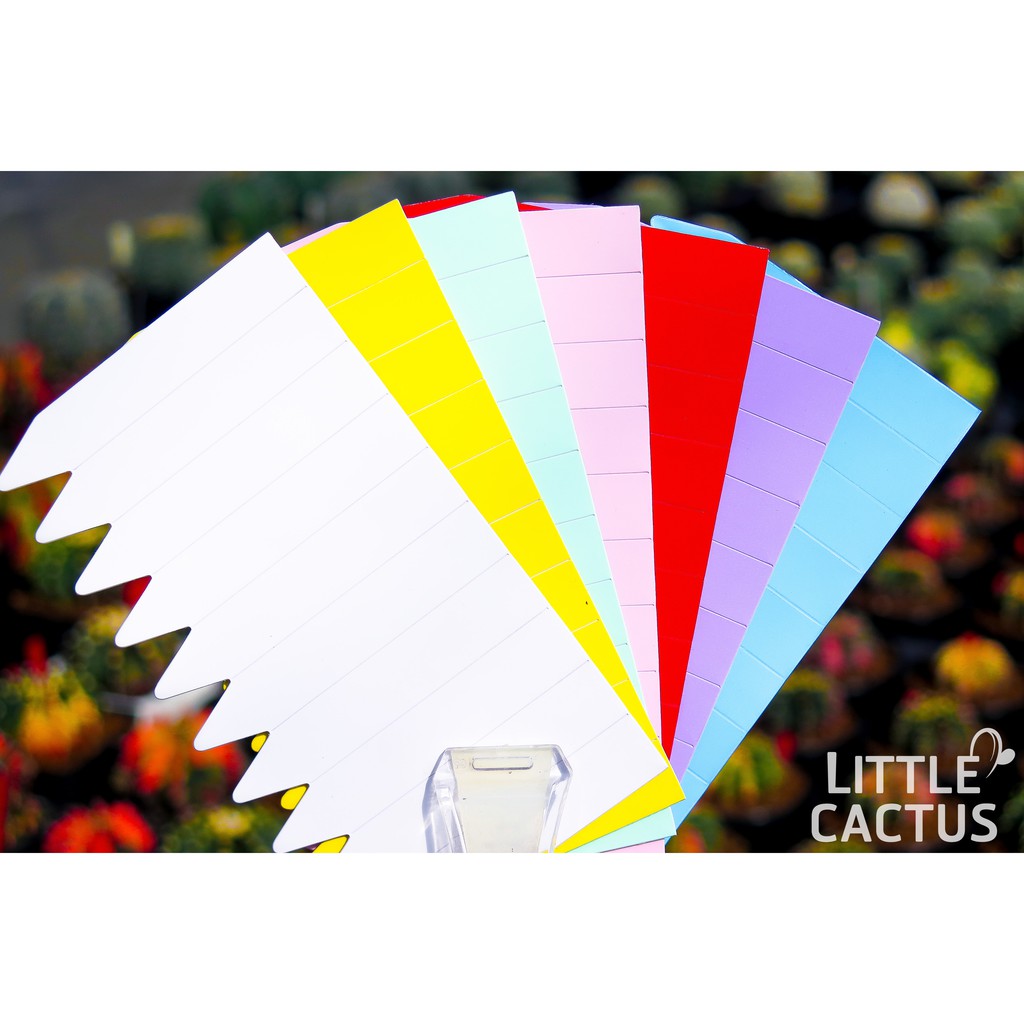 ป้ายแท็กTag(M)ป้ายชื่อหลากสี ขนาด กxย 1.2x7 cm