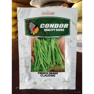 CONDOR SEEDS - FRENCH BEANS SEEDS - CLAUDINE 5กรัมกุหลาบ/กางเกง/พาสต้า/สร้อยข้อมือ/เด็ก/แม่และเด็ก/เมล็ด/ผักกาดหอม/ดอกไม