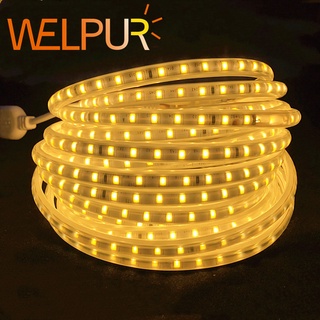 Welpur สายไฟ LED SMD 5050 Ac220v 220v 60 ดวง ยืดหยุ่น กันน้ํา สําหรับตกแต่งบ้าน คริสต์มาส วันหยุด