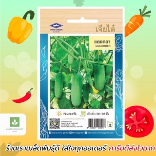 แตงกวา เจียไต๋ 🥒 เมล็ดพันธุ์แตงกวา เมล็ดแตงกวา