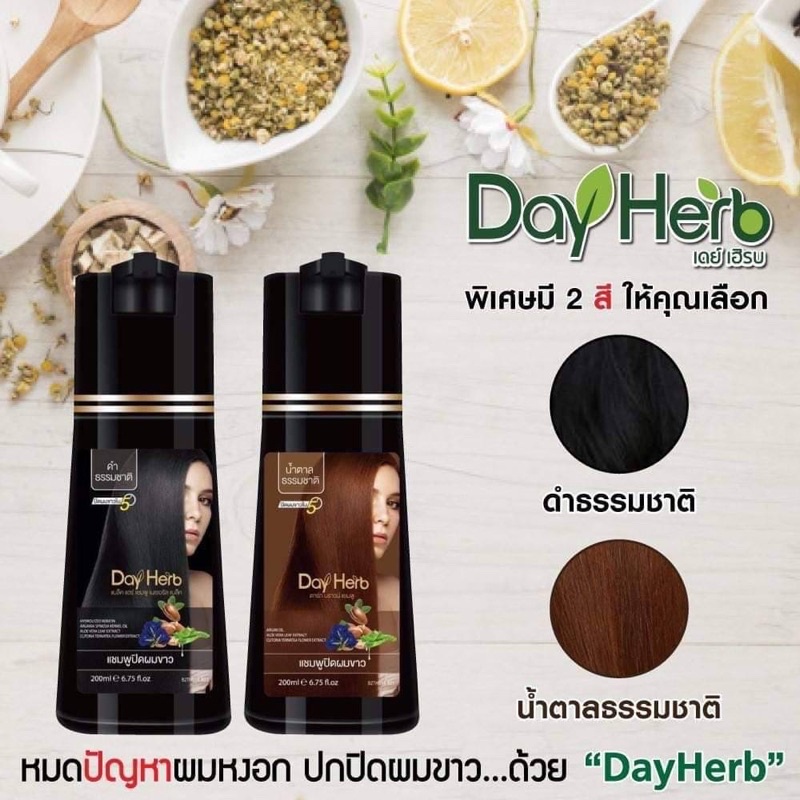 แชมพูปิดหงอก Day Herb