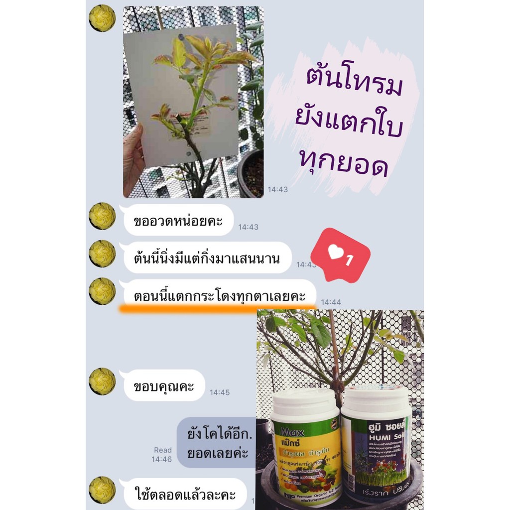 ฮูมิ ซอยล์ 500กรัม ฮิวมิก ชนิดละลายน้ำ ปรับปรุงดิน กระตุ้นแตกรากฝอย เพิ่มจุลินทรีย์ในดิน  NP HUMI SOIL 500g humic acid - รูปที่ 5