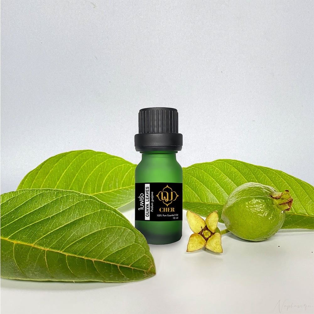 Cher Guava Leaves Essential Oil น้ำมันหอมระเหยใบฝรั่ง เฌอ สกัดจากส่วนใบ รับประกันคุณภาพ มีความบริสุท