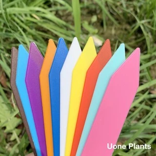 Uone Garden ป้ายชื่อต้นไม้แพ็คละ 10x2cm PVC สำหรับตกแต่งสวน 100 ชิ้น อุปกรณ์ตกแต่งสวน จัดสวน T010A