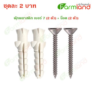 พุ๊กพลาสติก เบอร์ 7 (2 ตัว) + น๊อต (2 ตัว)