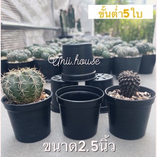 🍀กระถาง2.5นิ้วกระถางแคคตัส กระถางปลูกต้นไม้ 2นิ้วครึ่ง กระถางไม้อวบน้ำ