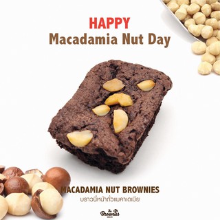 Macadamia Nut Brownies (บราวนี่หน้าถั่วแมคคาเดเมีย)