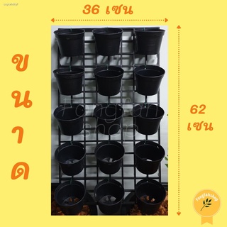 เซ็ตกระถางแขวน กระถางแขวนผนัง กระถาง 4 นิ้ว 15 ใบ คุ้มมาก กว้าง 14.25 นิ้ว ยาว 25 นิ้ว พร้อมสายรัดกระถางอย่างดี 15 เส้น