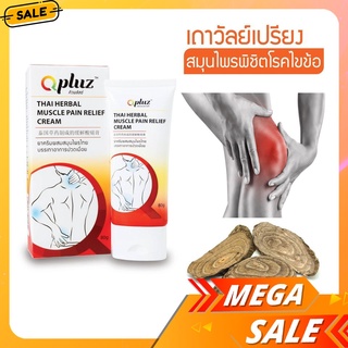 หลอดใหญ่ Qpluz คิวพลัสซ์ ครีมนวดสมุนไพรบรรเทาอาการปวด สูตรร้อน  80 กรัม