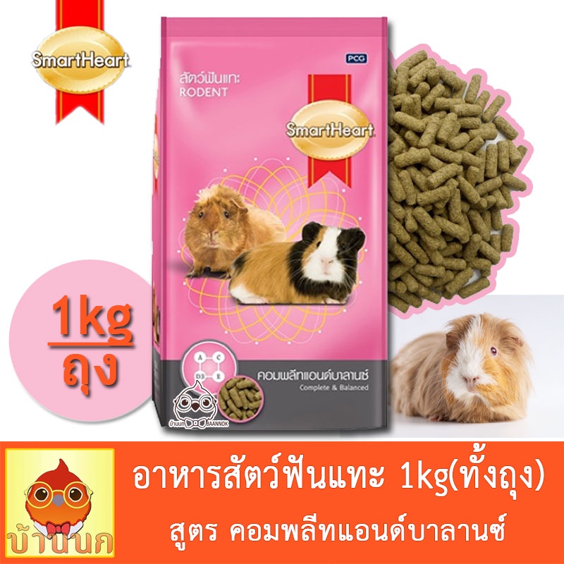 SmartHeart Rodent 1kg สมาร์ทฮาร์ท อาหารสัตว์ฟันแทะ สูตร คอมพลีทแอนด์บาลานซ์ สัตว์ฟันแทะ หนูตะเภา หนูแกสบี้ และชินชิลล่า
