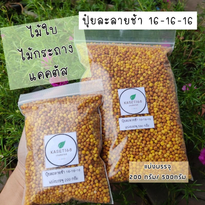 ปุ๋ยละลายช้า มัลติเทค 16-16-16 สูตร 4 เดือน แบ่งบรรจุถุงซิปอย่างดี ขนาด 200กรัม/500กรัม ปุ๋ยแคคตัส ไม้ใบ ไม้กระถาง