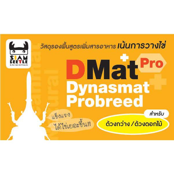 รูปภาพ 2