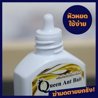 เหยื่อกำจัดมด Queen ant Bait ปลอดภัยกับคน ฆ่ามดยกรัง อาหารมด เจลกำจัดมด ฆ่ามดทั้งรัง(ขนาดบรรจุ 30 กรัม)