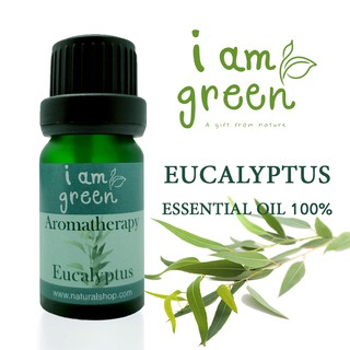 Eucalyptus Pure Essential Oil น้ำมันหอมระเหย 100% กลิ่น ยูคาลิปตัส 10 ml