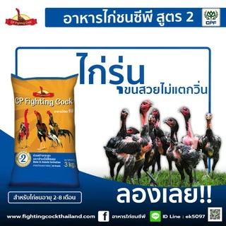 ของใหม่ พร้อมส่ง อาหารไก่ชนซีพี อาหารไก่ชนพรีเมี่ยมจาก cp 3kg. CP Cock Fighting (แถมฟาร์มิน 1ซอง)