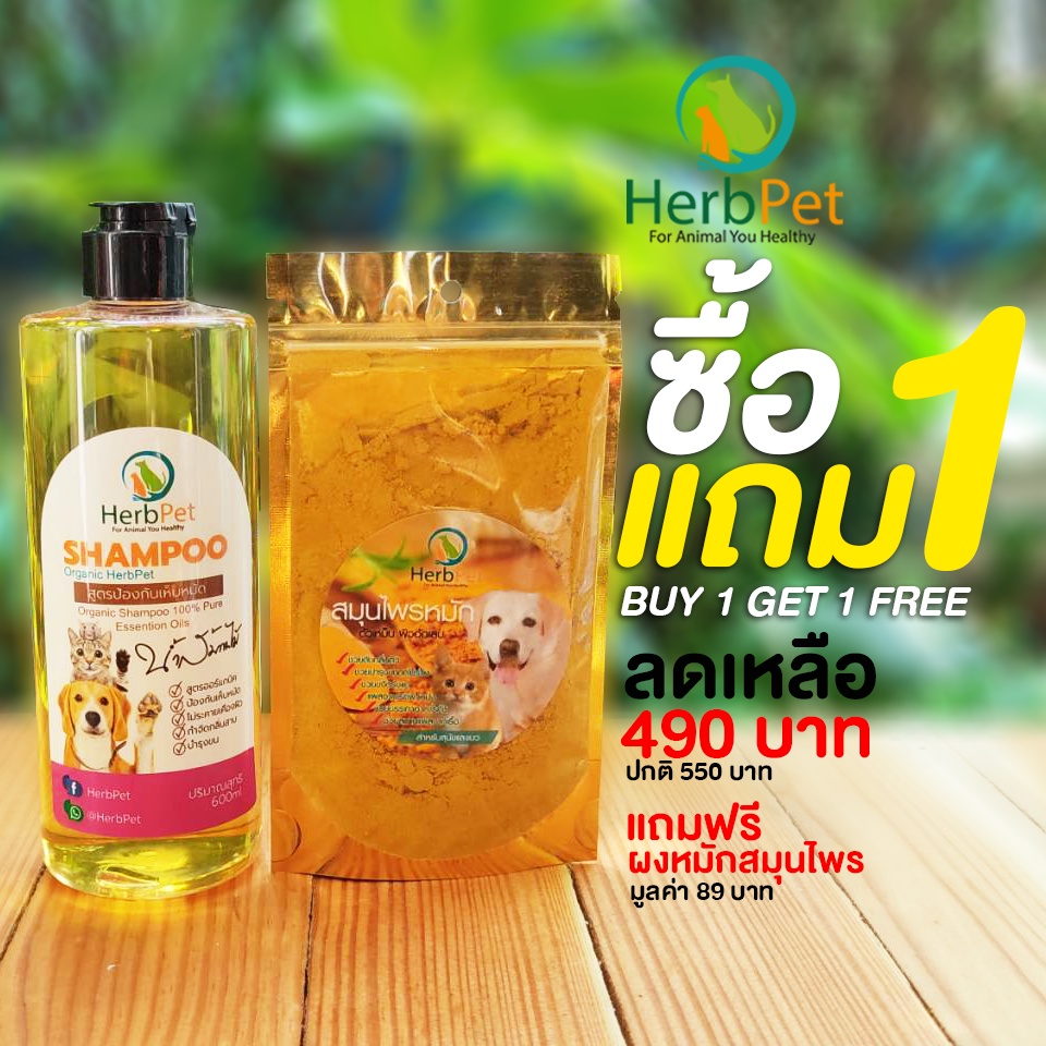 Set แชมพู 1แถม1 แถมผงหมัก 40 กรัม