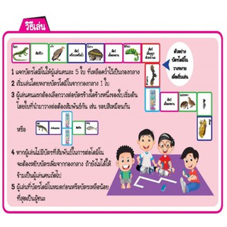 🐂เกมโดมิโน ชุดแบ่งกลุ่มสัตว์ แยกประเภทสัตว์ (56 ใบ) ET581