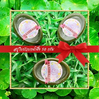 🎀สบู่สมุนไพร🎀 สบู่ใบบัวบกน้ำผึ้ง สบู่กลีเซอรีน ขนาด 50 กรัม Centella Asiatica &amp; Honey Glycerin Soap