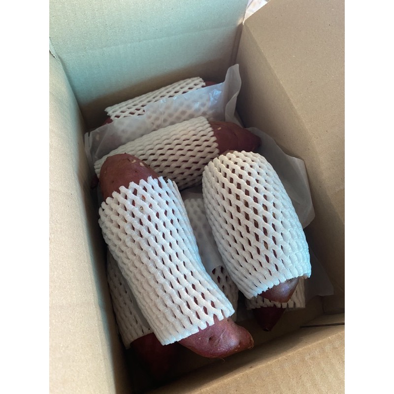 รูปภาพ 5