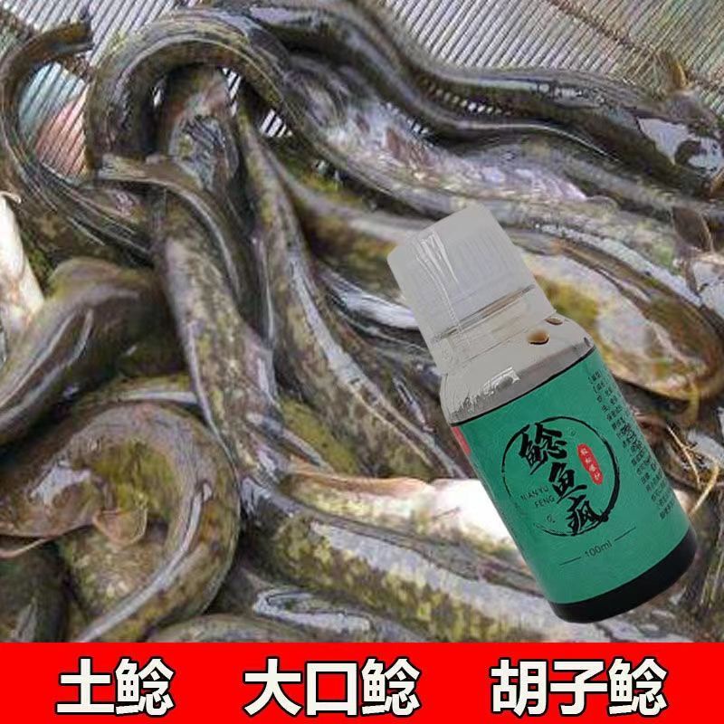 [ประสบการณ์การป้องกันพิเศษ] ปลาดุก, บ้าในหมู่护专用鱼子鱼大口ดังดังดังดังดังดังดังดังดังดังโฆี่ยน