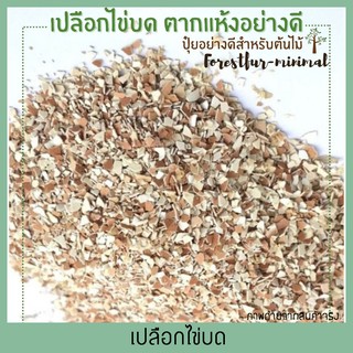 เปลือกไข่บดหยาบขนาด1 กก ผสมดินปลูกช่วยให้ต้นไม้เจริญดี