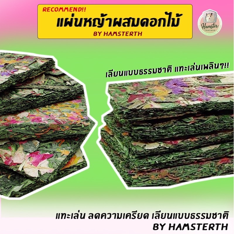 [Hamsterthailand] แผ่นหญ้า ผสมดอกไม้หญ้า ตกแต่งกรง แทะลับฟัน ช่วยคลายเครียด ขนมแฮมสเตอร์ อาหารแฮมสเตอร์ ดอกไม้รองกรง