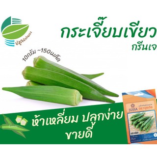 กระเจี๊ยบเขียว (Okra)​