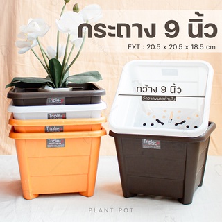 กระถางสี่เหลี่ยม ขนาด 9 นิ้ว กระถางปลูกต้นไม้ (PPP444) มี 3 สี น้ำตาล/ขาว/ชานม กระถางพลาสติก ขายกสูงจากพื้น ระบายน้ำดี