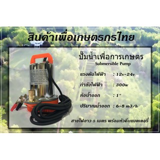 DC Submersible Pump แรงดันสูง 300W 12V-24V ท่อ1" Stainless สายไฟ 5 เมตร (ปั๊มน้ำ ปั้มจุ่ม ปั้มแช่ ปั๊มไดโว่ ปั๊มบาดาล)