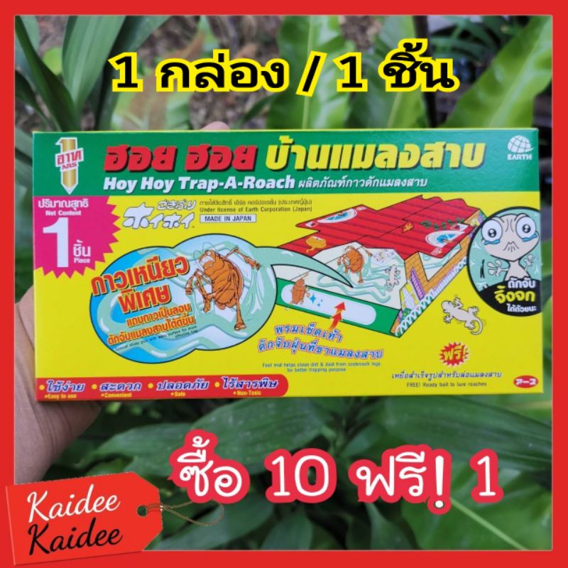 บ้านกาวดักจับแมลงสาบดักจิ้งจก ARS ฮอยฮอย 1 กล่องมีบ้าน 1 หลังเท่านั้น!! (1กล่องมีบ้าน1หลัง)