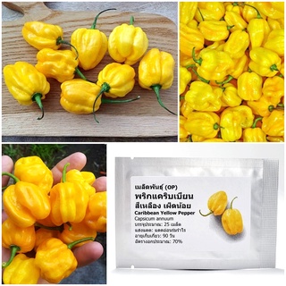 เมล็ดพันธุ์ พริกแคริบเบียน สีเหลือง Caribbean Yellow Pepper Seed 25 เมล็ด คุณภาพดี ราคาถูก ของแท้ 100%