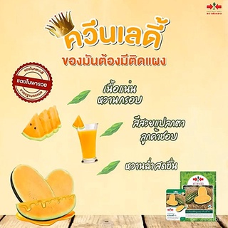 ใหม่! เมล็ดแตงโมตอปิโด ควีนเลดี้ ตราศรแดง เนื้อสีส้ม ปริมาณ25เมล็ด เมล็ดพันธุ์แตงโม เมล็ดแตงโมเสื้อ/สร้อยข้อมือ/​​กระโปร