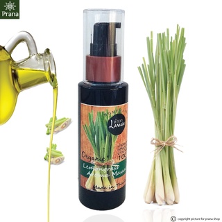 ออยล์ธรรมชาติ Lemongrass Pure Organic Body Oil ออยล์ธรรมชาติ บำรุงผิว และปรับสมดุลฮอร์โมน 50ml [กลิ่นตะไคร้]ของแท้🔥