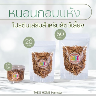 (ลดพิเศษ) หนอนนกอบแห้ง อาหารทานเล่น แหล่งโปรตีนสำคัญของสัตว์เลี้ยง สัตว์ฟันแทะทานได้ ชูก้าร์ แฮมสเตอร์ อื่นๆ