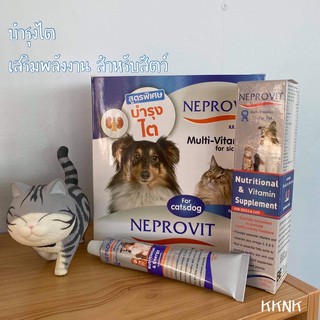 🎊 Neprovit 🐶🐱 บำรุงไต สำหรับสุนัขและแมว 30g. exp.2023