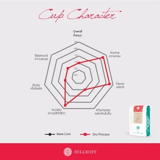 Hillkoff : เมล็ดกาแฟคั่ว อาราบิก้า คั่วกลาง ฮิลล์คอฟฟ์ (Dry Process) Arabica 100% กาแฟ อราบิก้า เมล็ดกาแฟ เม็ดกาแฟ