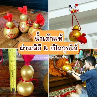 น้ำเต้าแท้‼️ผ่านพิธี 💯 ⛩ (เปิดจุกด้วย) มีหน้าร้าน แก้ประตูตรงกัน เปิดผ้าแดง น้ำเต้าดูดทรัพย์ น้ำเต้า น้ำเต้าธรรมชาติ